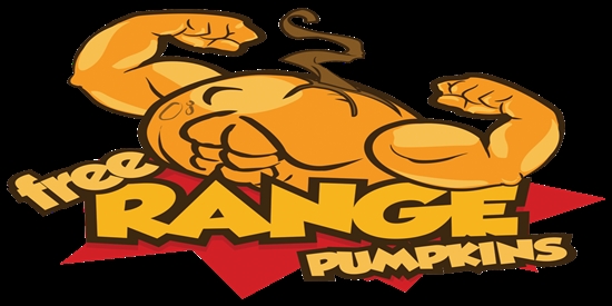Free Range Pumpkins DreamHack Qualifier - tournament brand image