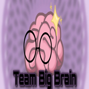 Big Brain Tournaments